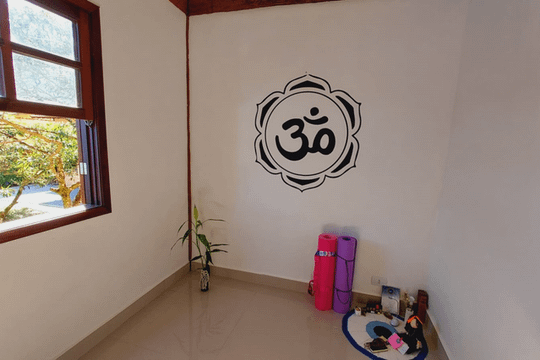 Imagem 2 da galeria do parceiro Yoga Monique Balsani