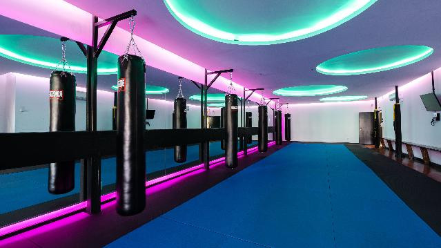 Image 1 from Hard Knox Astoria partner gallery