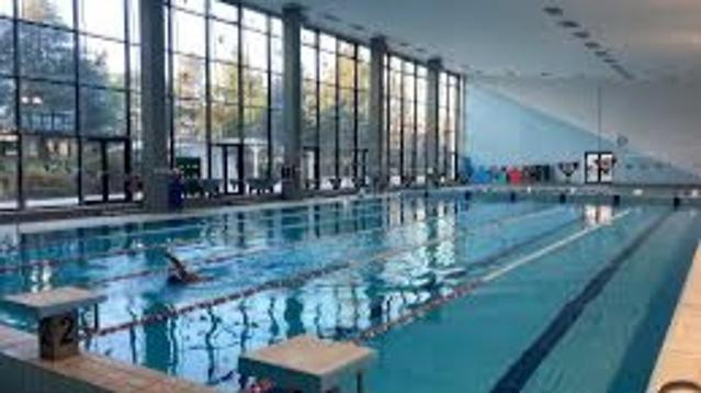 Immagine 3 dalla galleria del partner Sogese Paolo Gori Pianoro