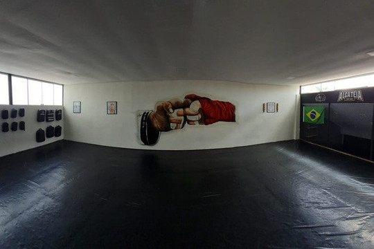 Imagem 2 da galeria do parceiro Alcateia Fight Team