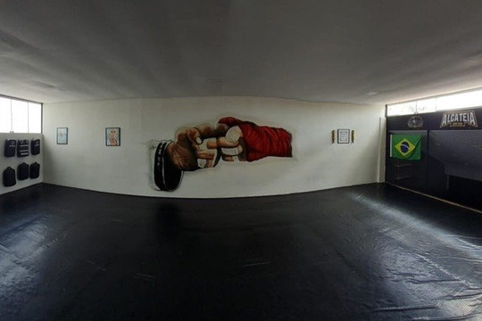Imagem 1 da galeria do parceiro Alcateia Fight Team