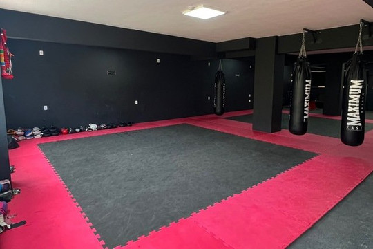 Imagem 1 da galeria do parceiro Peres Team