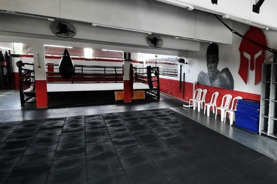 Imagem 1 da galeria do parceiro Spartan Escola de Boxe