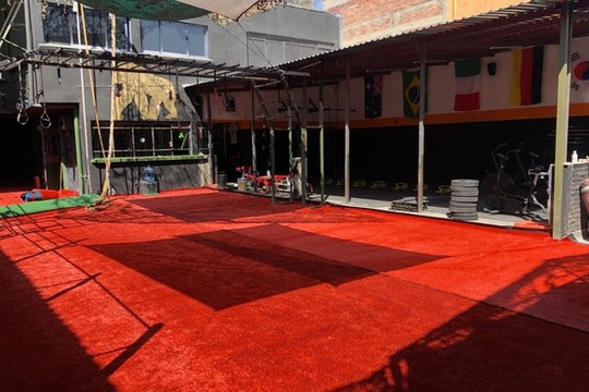 Imagen 2 de la galería del partner Animal Motion Fitness Center