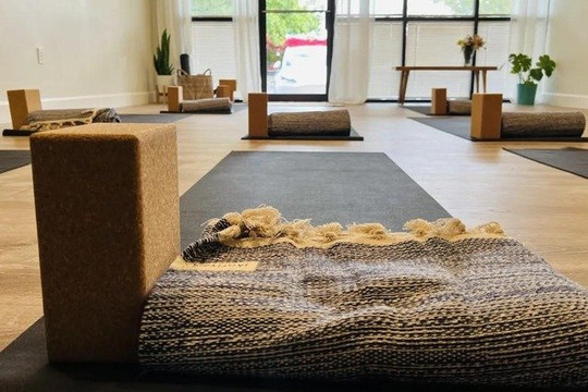 Image 1 from Myna Yoga partner gallery