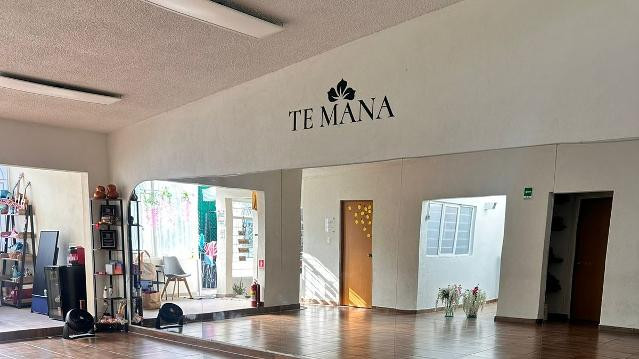 Imagen 1 de la galería del partner Te Mana Studio Wellness Boutique