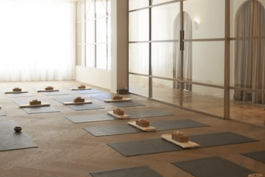 Imagen 2 de la galería del partner Hatha Yoga Estudio