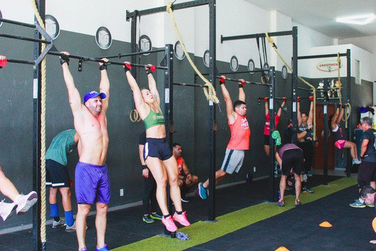 Imagem 1 da galeria do parceiro K9 Crossfit