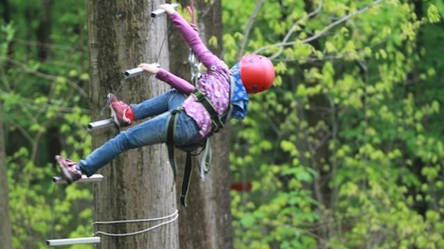 Bild 3 von Natürlich Bewegen @ Freiburger Waldseilgarten Partnergalerie
