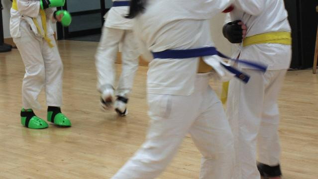 Image 3 from Austin Shotokan Karate Academy partner gallery