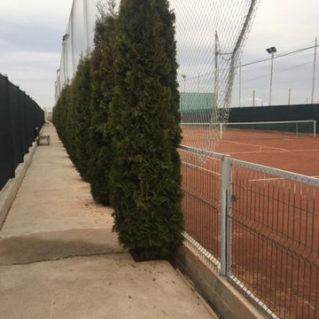 Imaginea 2 din Tenis Vest galeria partenerului
