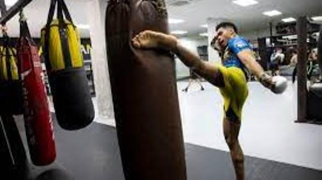 Imagen 3 de la galería del partner SHARKMMA ZENITH BJJ