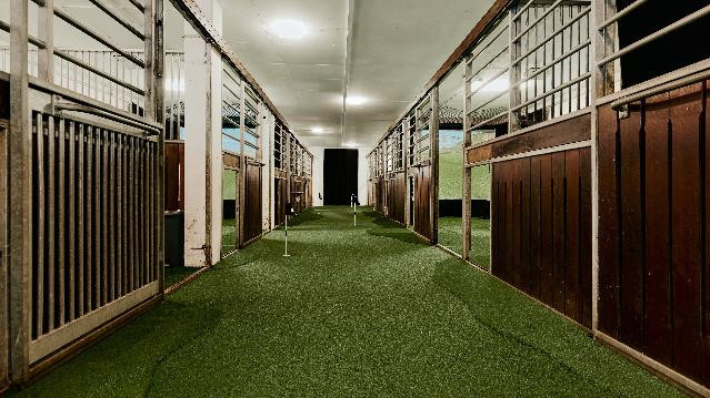 Bild 1 von PATO Golf Partnergalerie