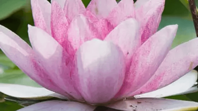 Bild 3 von Heike Windhövel Partnergalerie