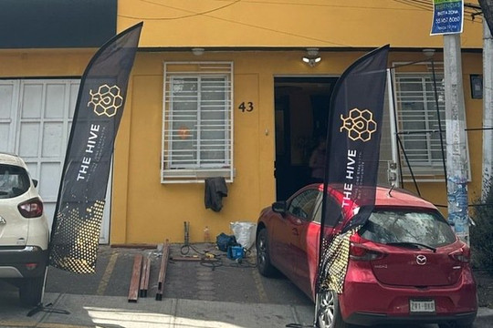 Imagen 2 de la galería del partner The Hive Mx