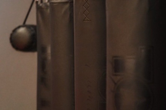 Bild 3 von Phoenix Fight Academy Partnergalerie