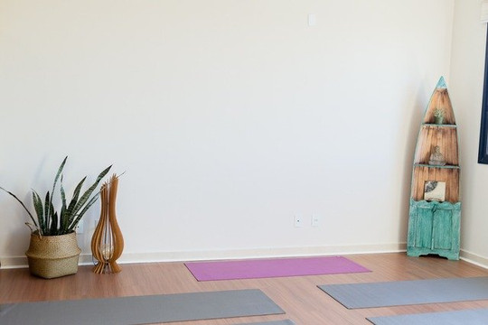 Imagem 1 da galeria do parceiro Pralaya Yoga e Terapias