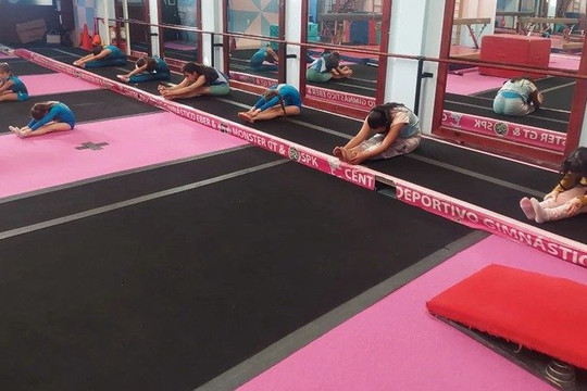 Imagen 2 de la galería del partner Centro Deportivo Gimnastico Eber