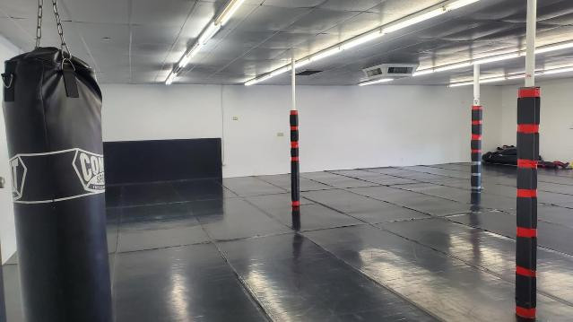 Image 3 from MMA 101 partner gallery