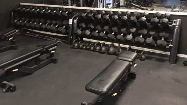 Immagine 1 dalla galleria del partner Gym New Life
