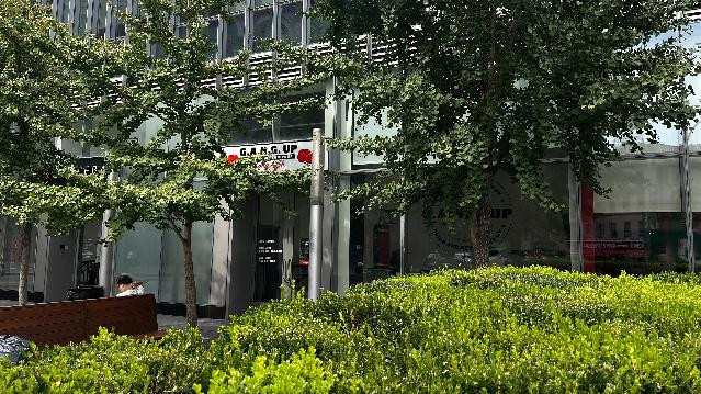 Image 2 from GANG UP Boxing & Fitness Gym, LLC partner gallery