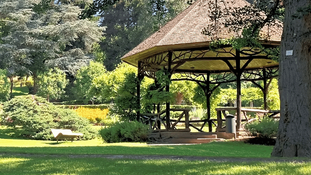 Bild 2 von Yoga im Stadtgarten Emmendingen Partnergalerie