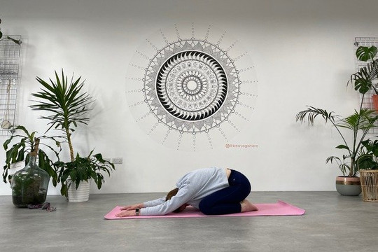 Image 3 from Diana Woodhead partner gallery