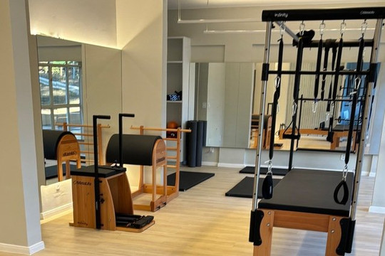 Imagem 1 da galeria do parceiro Satya Pilates Saúde Integrada