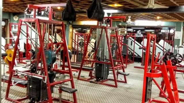 Bild 1 von Athletic-Body-Shop Partnergalerie