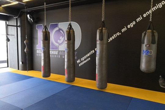 Imagen 3 de la galería del partner Gimnasio Md Interlomas