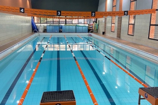 Imagem 1 da galeria do parceiro Dolphins academia