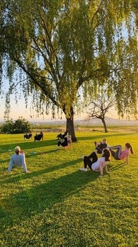 Imagen 3 de la galería del partner Valenfit Pobla de Vallbona