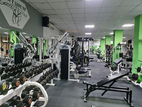 Imaginea 2 din Palestra Bodybuilding & Fitness galeria partenerului