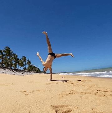 Imagem 3 da galeria do parceiro Renato Aceto Nittolo