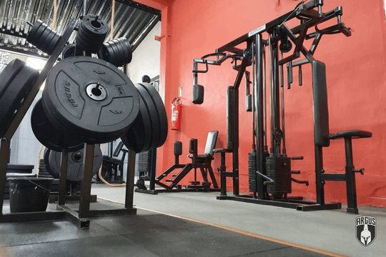 Imagem 3 da galeria do parceiro Argus