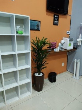 Imagem 3 da galeria do parceiro Harmony Pilates