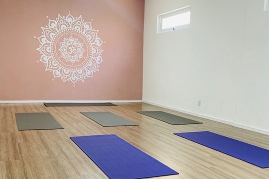 Imagem 1 da galeria do parceiro ANANDA LÓTUS YOGA, PILATES E TERAPIAS