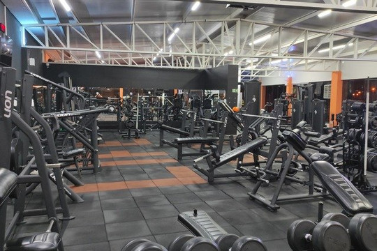 Imagem 3 da galeria do parceiro Life EX