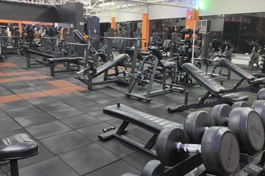 Imagem 3 da galeria do parceiro Life EX