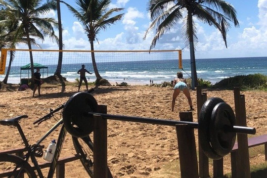 Imagem 2 da galeria do parceiro Futvôlei Art