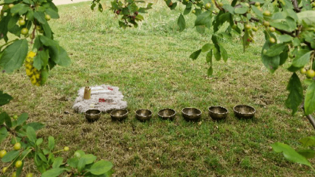 Bild 3 von Recordsandbowls @Treptowerpark (Karpfenteich) Partnergalerie