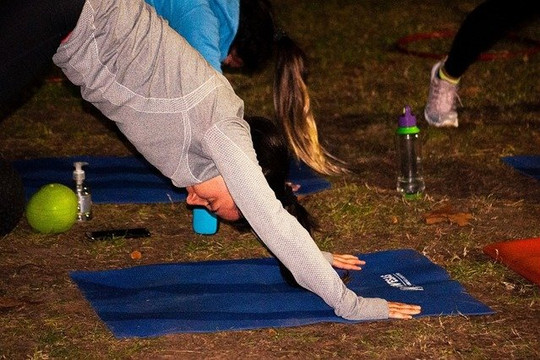 Imagen 2 de la galería del partner Nordictraining