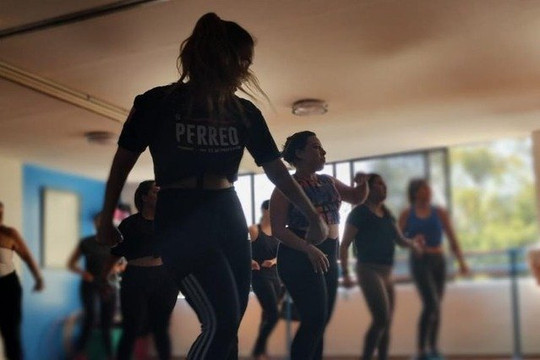 Imagen 1 de la galería del partner AlPerreo Dance Fitness - Polanco