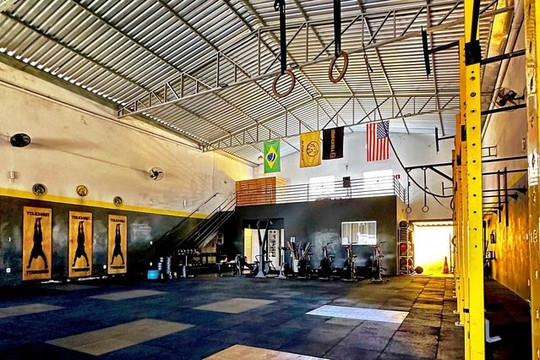 Imagem 1 da galeria do parceiro ALPHA BOX