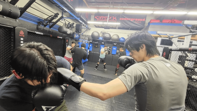 Image 1 from Shamrock MMA partner gallery