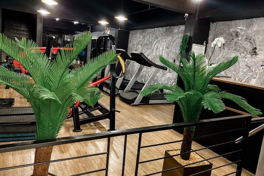 Imagem 2 da galeria do parceiro Academia Nogueira Fitness