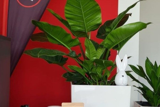 Bild 3 von Bodystreet - Brandenburg Partnergalerie