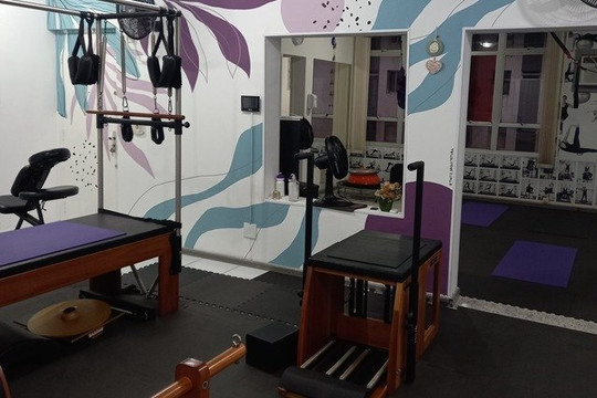 Imagem 1 da galeria do parceiro Studio Clafa Pilates