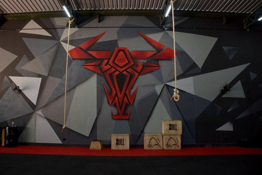 Imagem 3 da galeria do parceiro Fúria Brasil