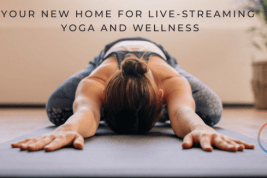 Image 2 from VIVAYA partner gallery